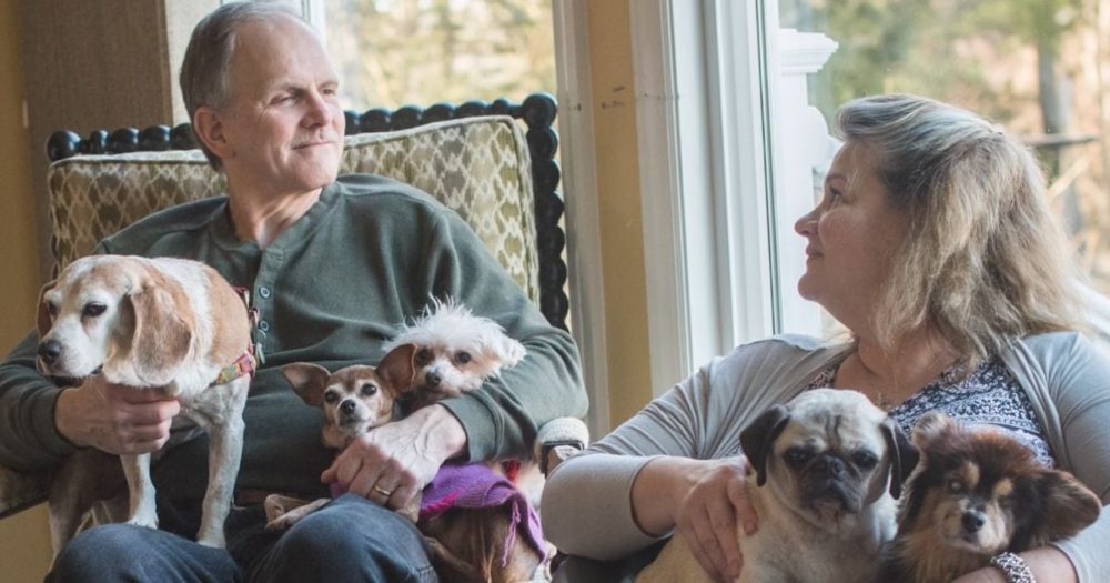 Pár se ujal starších psů na sklonku života a projevuje jim bezpodmínečnou lásku