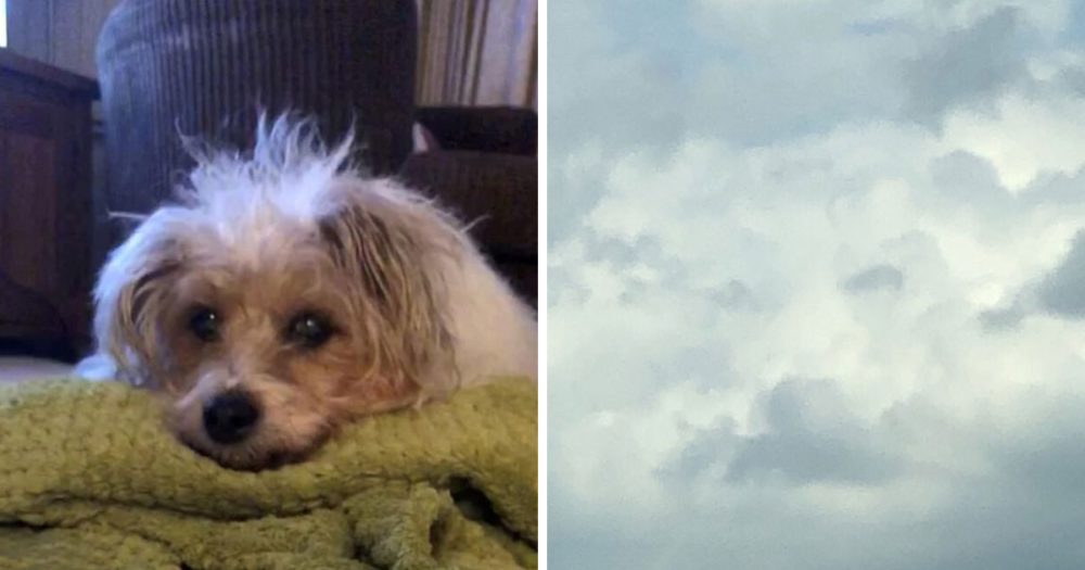Dívka viděla tvář psa v oblacích jen několik hodin poté, co zemřel