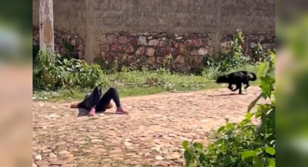 Žena předstírá, že leží na podlaze, a její pes jí běží na pomoc –