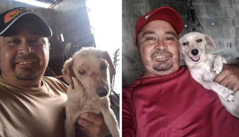 Muž zachrání psa bez domova a přivede ho zpět ke štěstí –