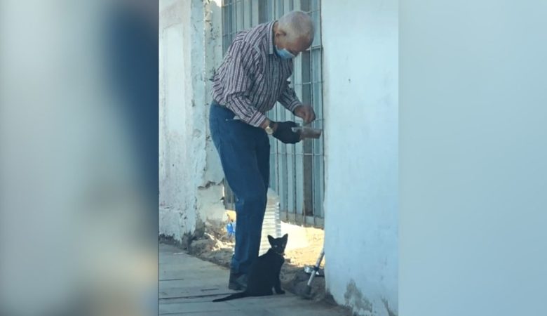 Mister každý den navštěvuje kotě bez domova, aby mu přinesl jídlo a vodu – a je tam, aby ho nakrmil