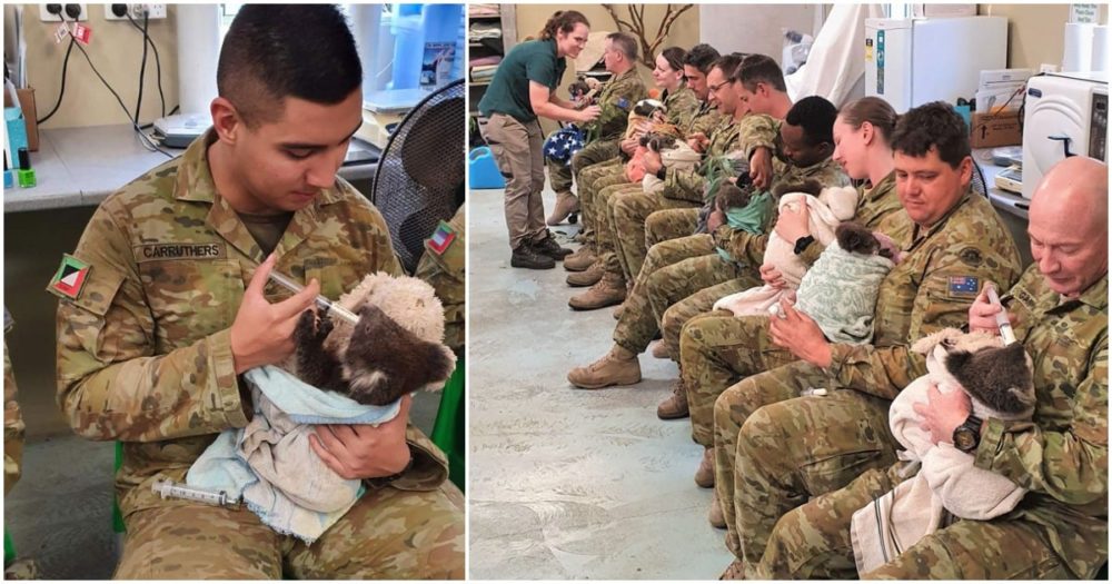 Dobrosrdeční australští vojáci se rozhodli neodpočívat – tráví volný čas krmením hladových koal