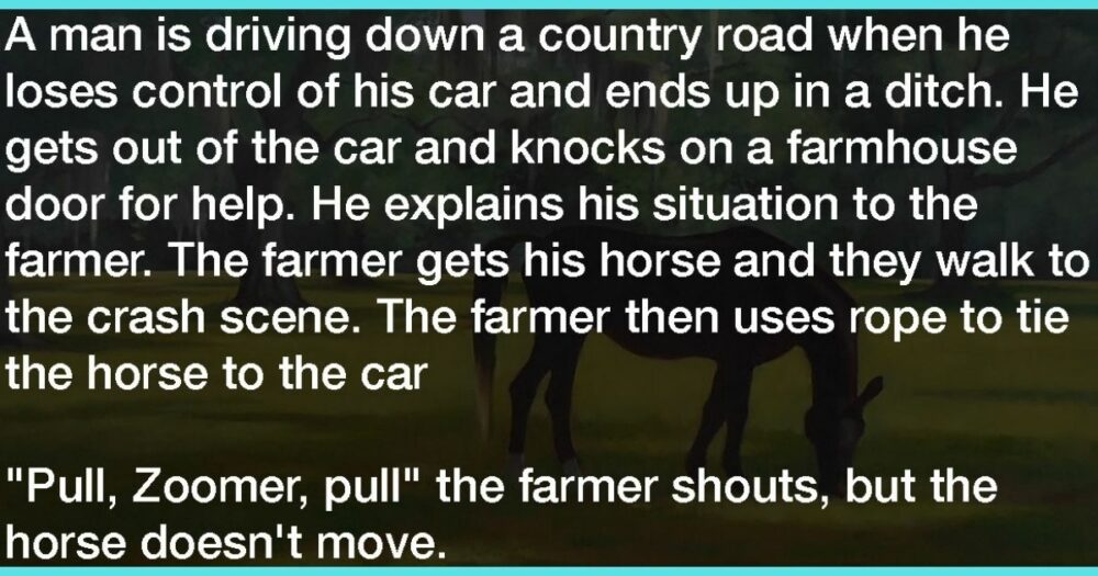 Farmář má 4 různá jména pro slepého koně a vysvětluje zmatenému divákovi důvod