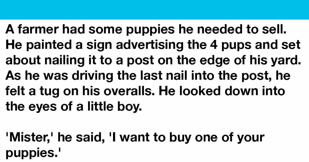 Mladý chlapec žádá farmáře o koupi postiženého štěněte