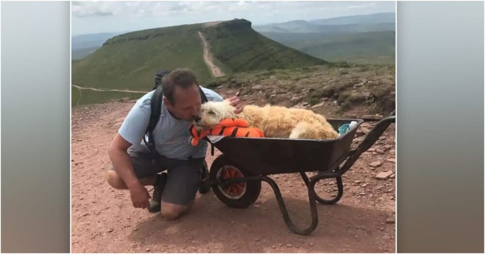 Muž vyvezl nemocného psa na svou oblíbenou horu, aby zažil poslední dobrodružství na trakaři