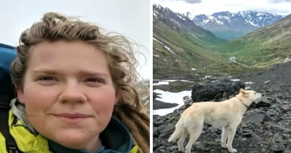 Poté, co se hluchá žena zřítí ze 700 metrů z hory, objeví se husky a zachrání jí život