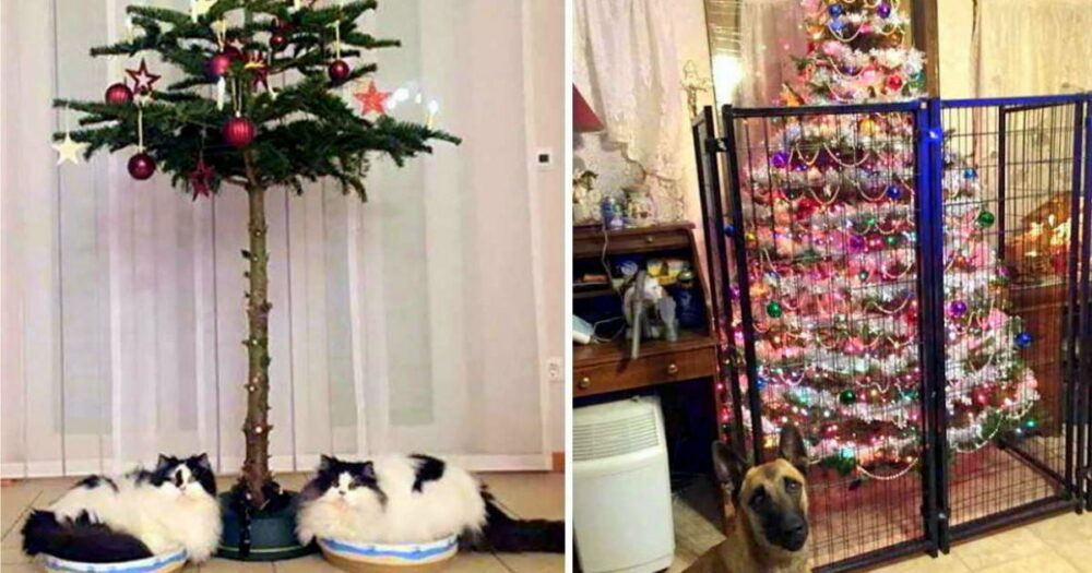 35 lidí, kteří vtipně našli způsob, jak ochránit svůj vánoční stromek před domácími mazlíčky