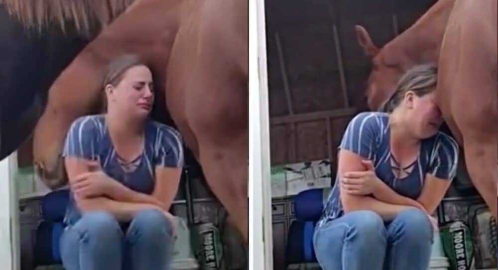 Kůň objímá svého majitele, který prožívá těžké sentimentální období –
