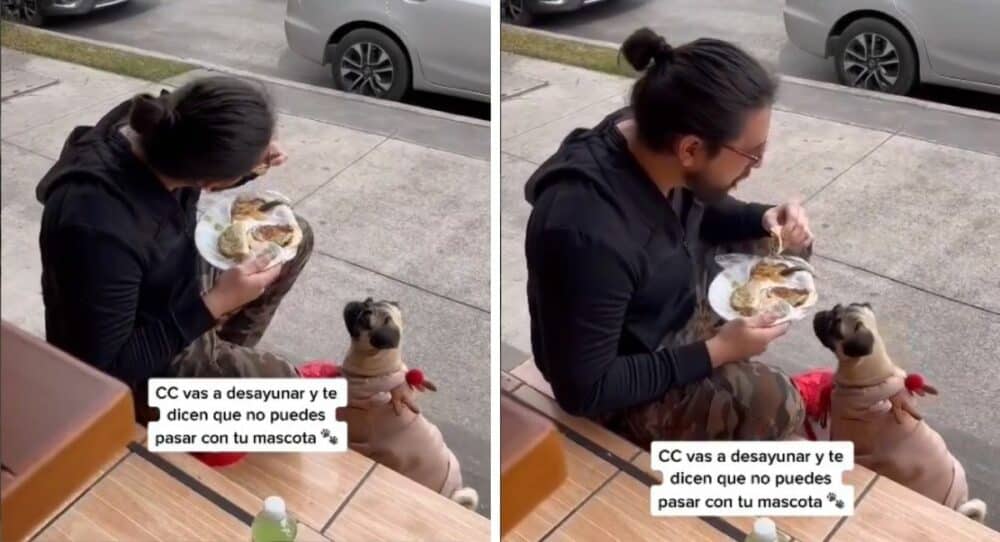 Mladík se raději nají mimo restauraci, než aby opustil své štěně –