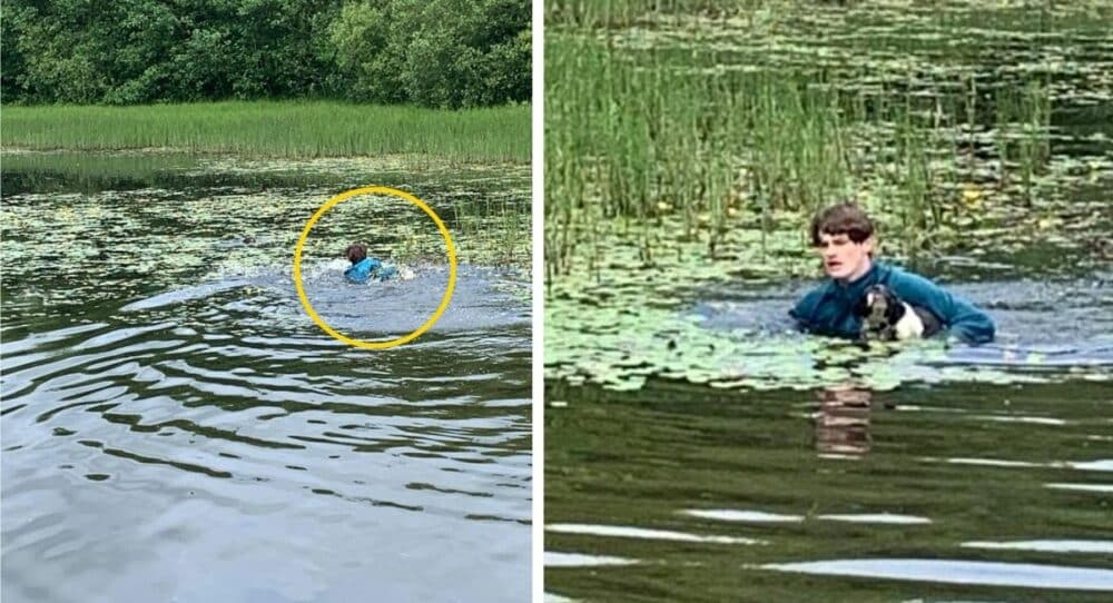 Mladý muž skočí do jezera, aby pomohl štěněti, kterému hrozí smrt –