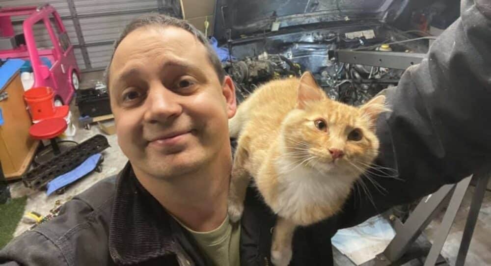 Kočka vejde do garáže muže, který opravoval auto, a rozhodne se, že tam zůstane –