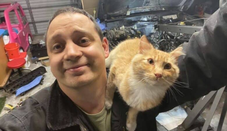 Kočka vejde do garáže muže, který opravoval auto, a rozhodne se, že tam zůstane –