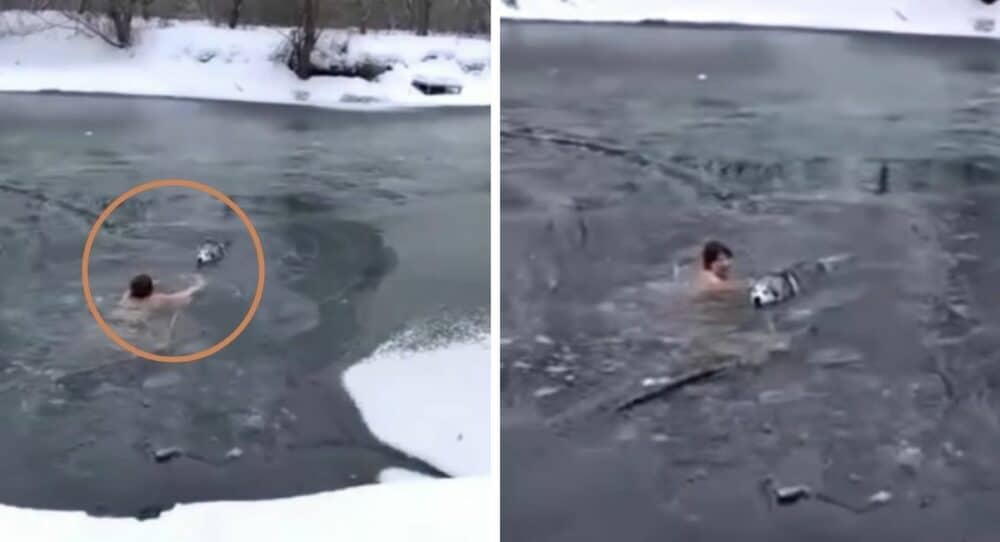 65letá žena skočí do zamrzlého jezera, aby zachránila psa, který se nemohl dostat ven – a pak skočí do zamrzlého jezera, aby zachránila psa, který se nemohl dostat ven