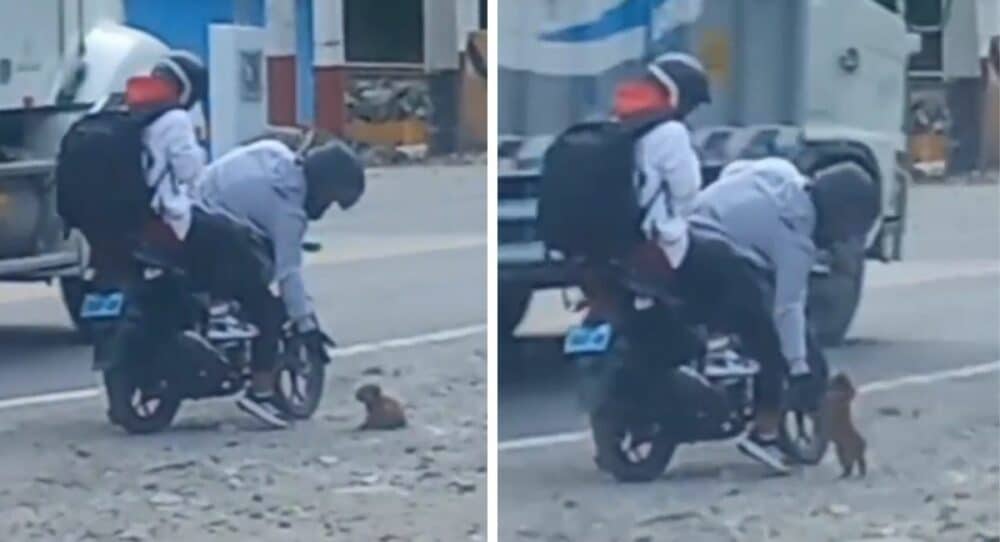 Motorkáři uvidí štěně a rozhodnou se zastavit, aby ho zachránili –