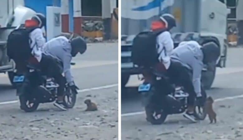 Motorkáři uvidí štěně a rozhodnou se zastavit, aby ho zachránili –