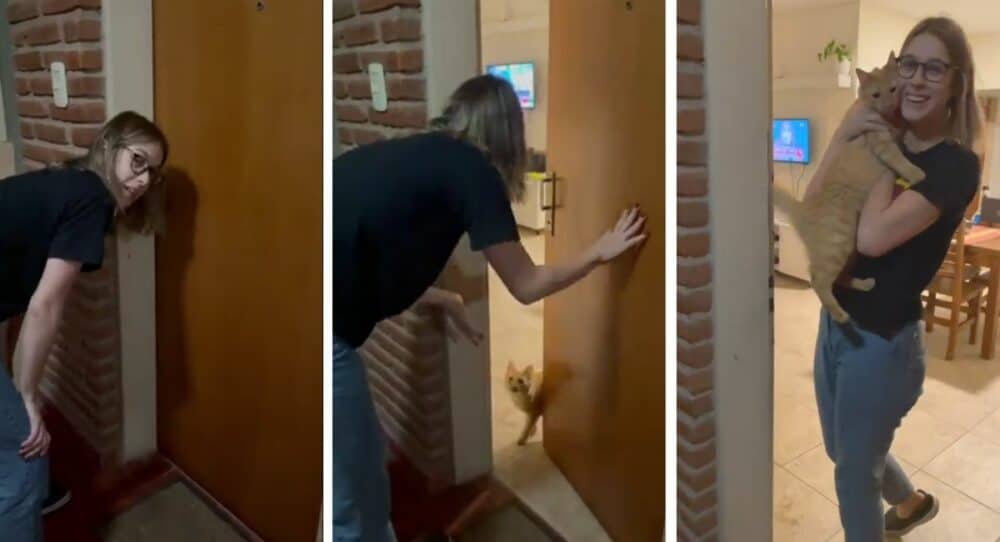 Mladému muži dojdou klíče a zavolá na svou kočku, aby mu otevřela dveře –