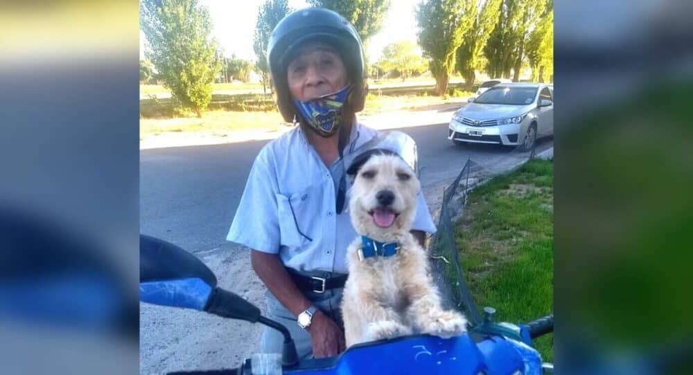 Pan bere své štěně do práce na motorce, aby nezůstalo doma samo