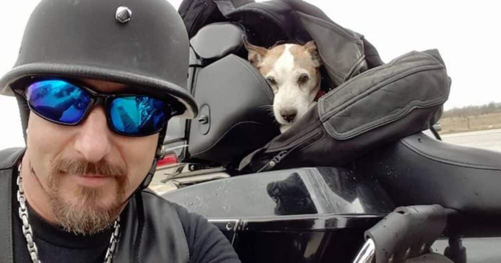 Motorkář vidí na dálnici muže, který bije psa, a tak ho zachrání a udělá z něj svého nového spolujezdce