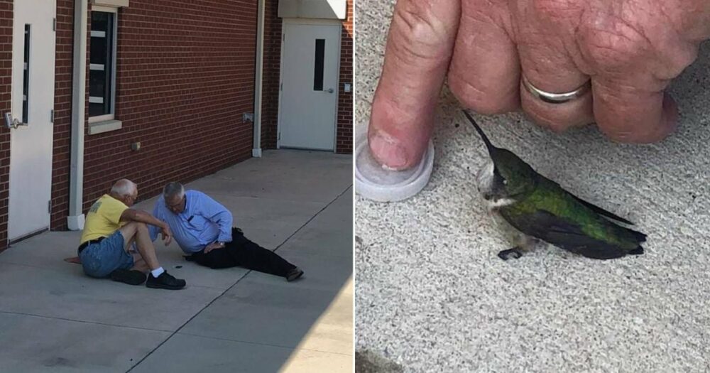 Hasiči se snaží zachránit malého kolibříka nalezeného před jejich stanicí