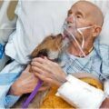 Vietnamský veterán v hospicové péči se naposledy rozloučil se svým věrným psem