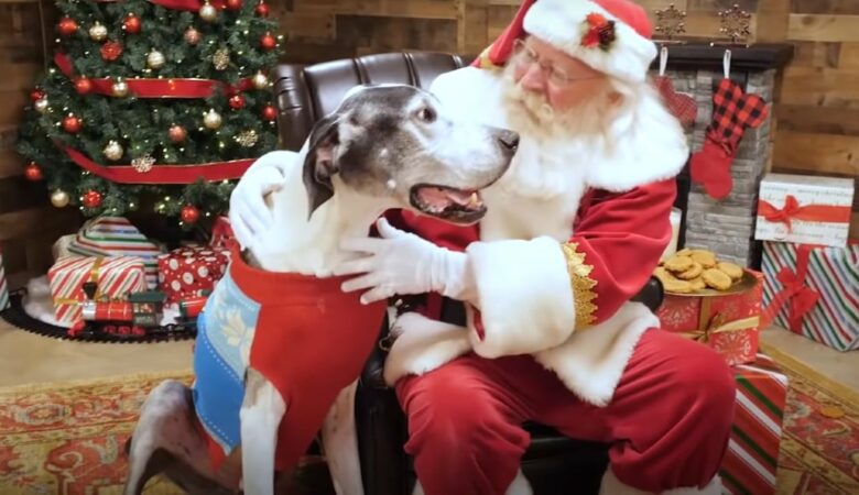 Santa Claus řekl obří záchranné německé doze, že má na Vánoce domov