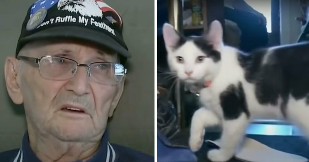 Starší muž je po pádu uvězněn a nemůže si přivolat pomoc, dokud mu nepřijde na pomoc kočka
