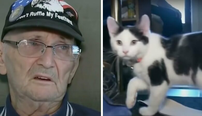 Starší muž je po pádu uvězněn a nemůže si přivolat pomoc, dokud mu nepřijde na pomoc kočka