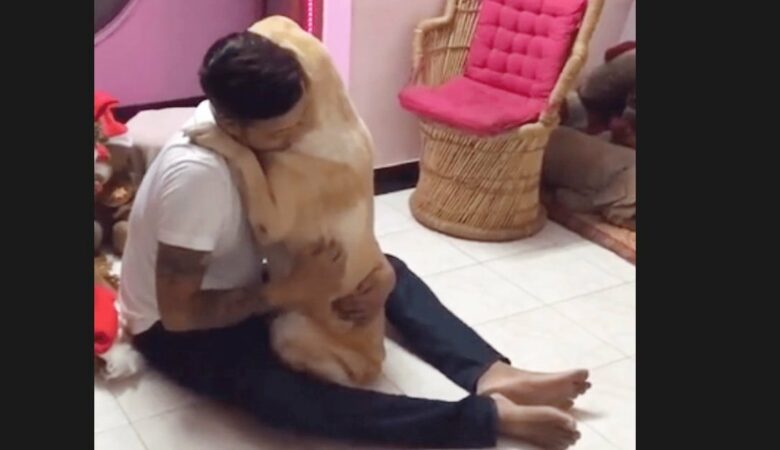 Pes, který se po operaci shledal s majitelem, křičí a rozpadá se mu v náručí