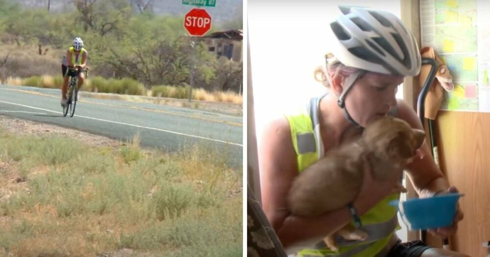 Cyklista uviděl štěně ležící na venkovské silnici pod horkým pouštním sluncem a provedl úžasnou záchrannou akci