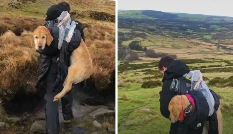 Muž na túře v mrazu uviděl ztraceného psa a vzal si ho na záda na šestikilometrovou túru dolů z hory