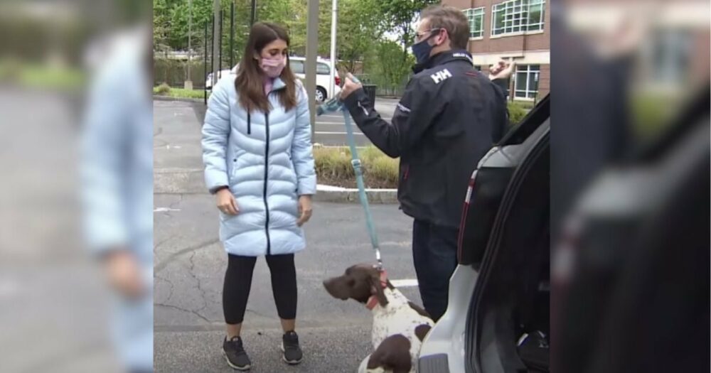 Žena, která hlásí ukradeného psa, vidí stejného psa venčeného na ulici a rychle se zamyslí