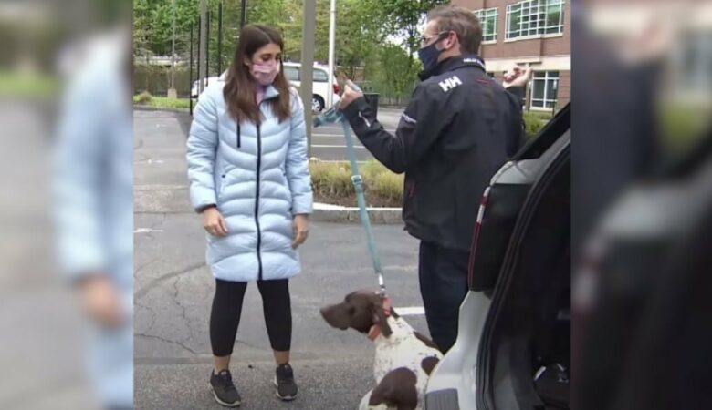 Žena, která hlásí ukradeného psa, vidí stejného psa venčeného na ulici a rychle se zamyslí