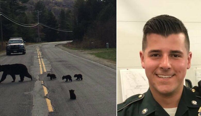 Policista si rychle uvědomí smutný důvod, proč medvídě nechce přejít silnici