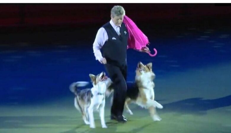 Rozkošní psi ukradli show svým okouzlujícím tancem na ‘Singin in the Rain’