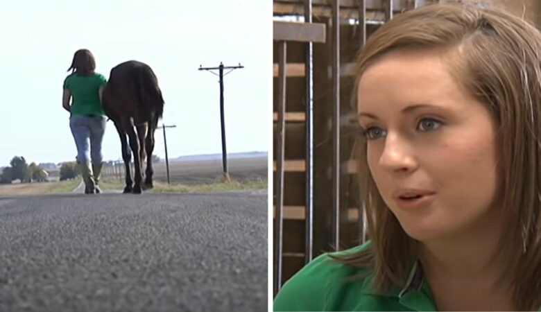 Dospívající dívka spatří na silnici osamoceného podvyživeného koně a ujde 9 mil, aby mu pomohla
