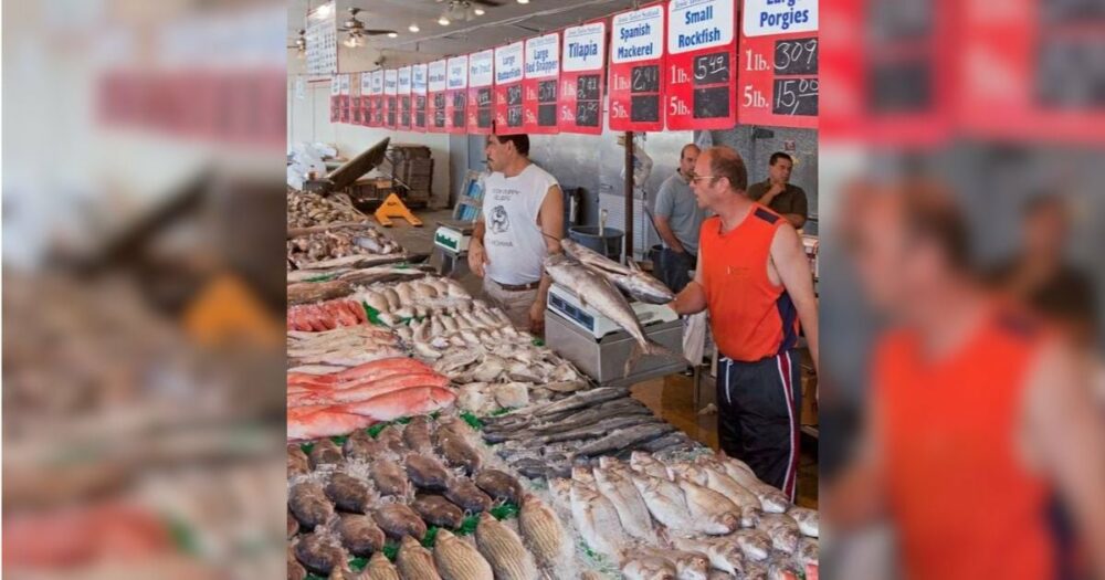 Hladová toulavá kočka se přiblíží k majiteli obchodu s rybami a snaží se nakoupit