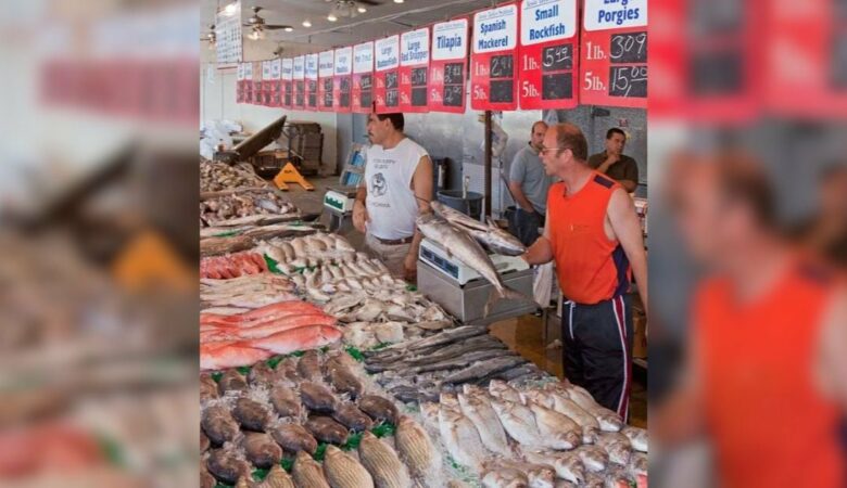 Hladová toulavá kočka se přiblíží k majiteli obchodu s rybami a snaží se nakoupit