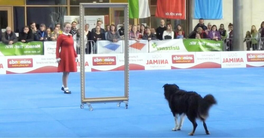 Žena a pes předvedli na mistrovství světa “neuvěřitelnou” taneční sestavu
