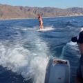 Žena jezdící na wakeboardu v Cortezském moři je obklopena nesčetnými mořskými živočichy