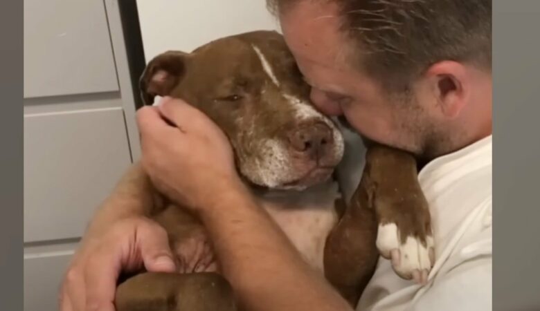Muž vzal do náruče starého psa bez domova a poslouchal “jeho smutné příběhy