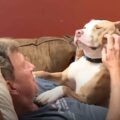 Pes pronásleduje “neochotného” dědečka a snaží se z něj udělat milovníka pittieho